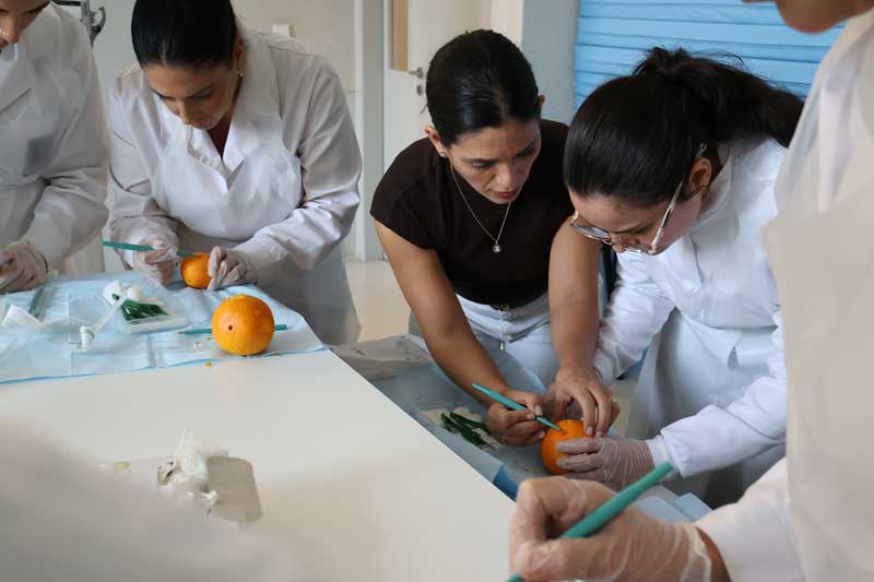 workshop prático de desbridamento de feridas - Andreia Monteiro Silva
